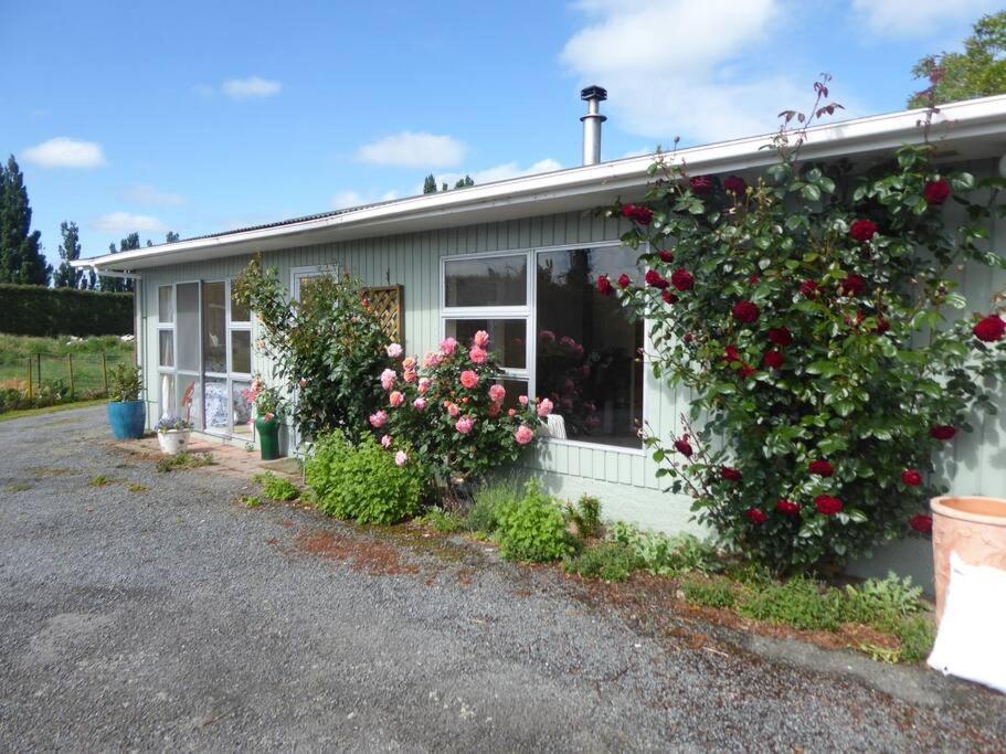 Rose Cottage, Country Escape グレイタウン エクステリア 写真